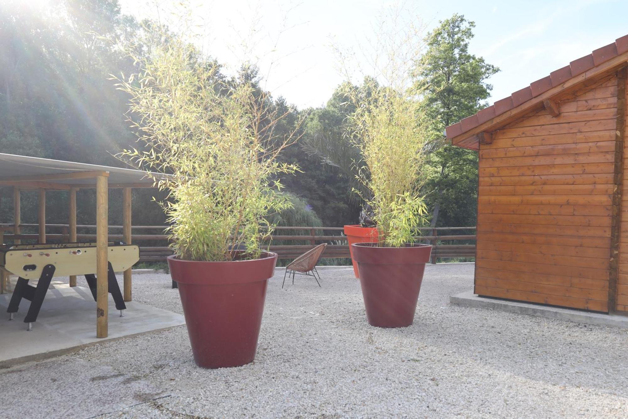 Les Chalets Du Marais Saint-Pierre-Aigle Exterior foto